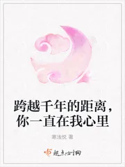《跨越千年的距离，你一直在我心里》小说封面