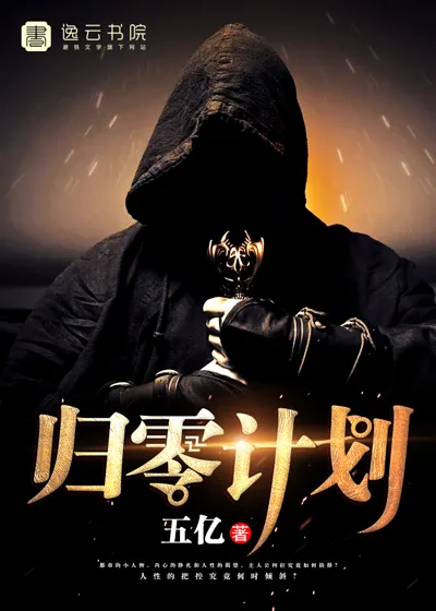 《归零计划》小说封面