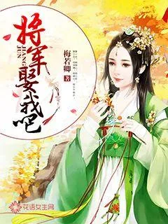 《将军，娶我吧！》小说封面
