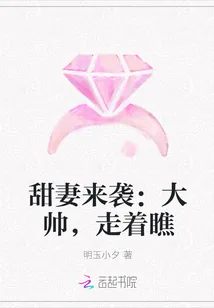 《甜妻来袭：大帅，走着瞧》小说封面