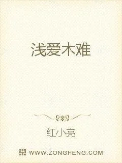 《冒牌公主：将军驸马很难追》小说封面