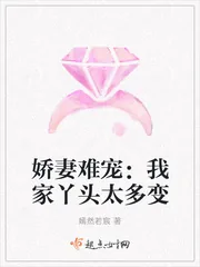 《娇妻难宠：我家丫头太多变》小说封面