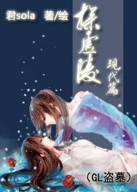 《探虚陵现代篇》小说封面