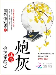 《炮灰穿越之还是炮灰》小说封面