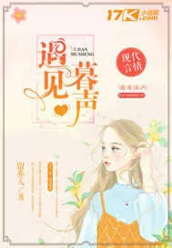 《遇见暮声》小说封面