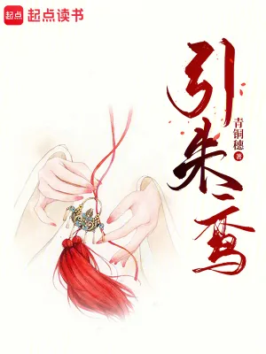 《引朱鸾》小说封面