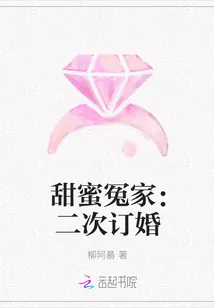 《甜蜜冤家：二次订婚》小说封面