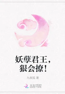 《妖孽君王，狠会撩！》小说封面