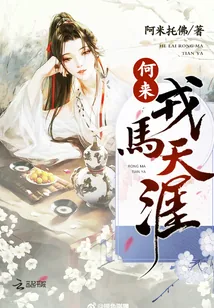 《何来戎马天涯》小说封面