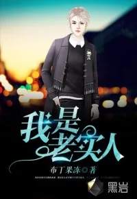 《我是老实人》小说封面