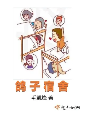 《鸽子宿舍》小说封面
