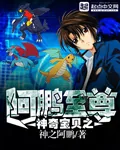 《神奇宝贝之阿鹏至尊》小说封面