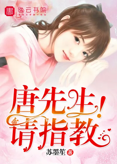 《唐先生！请指教！》小说封面