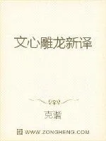 《文心雕龙新译》小说封面