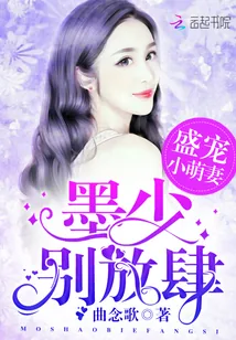 《盛宠小萌妻：墨少，别放肆》小说封面