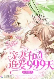 《宠妻有道：追爱999天》小说封面