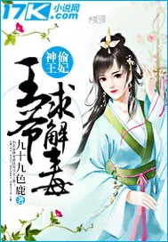 《神偷王妃：王爷求解毒》小说封面