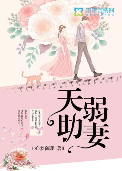《天助弱妻》小说封面