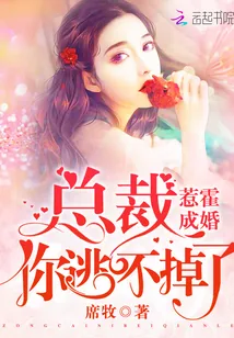 《惹霍成婚：总裁，你逃不掉了！》小说封面
