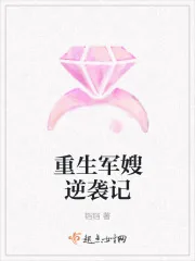 《重生军嫂逆袭记》小说封面