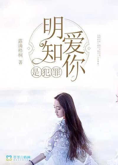《明知爱你是犯罪》小说封面