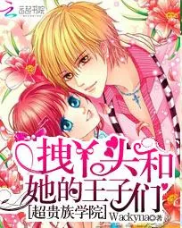 《超贵族学院：拽丫头和她的王子们》小说封面