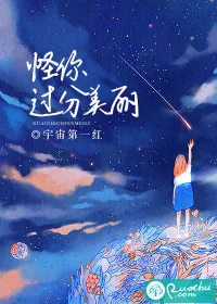 《怪你过分美丽》小说封面