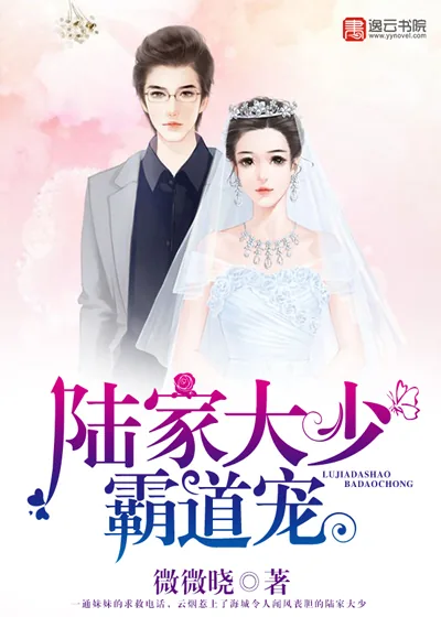 《陆家大少霸道宠》小说封面
