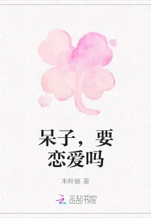 《呆子，要恋爱吗》小说封面