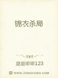 《锦衣杀局》小说封面
