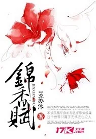 《锦香赋》小说封面