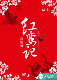 《红鸾记》小说封面