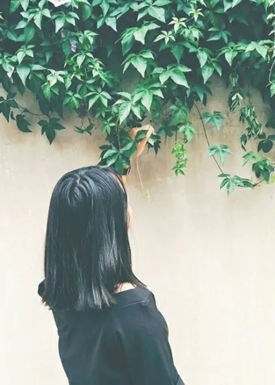 《半座城池半繁华》小说封面