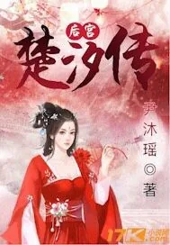 《后宫楚汐传》小说封面