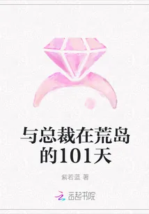 《与总裁在荒岛的101天》小说封面