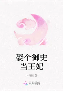 《娶个御史当王妃》小说封面