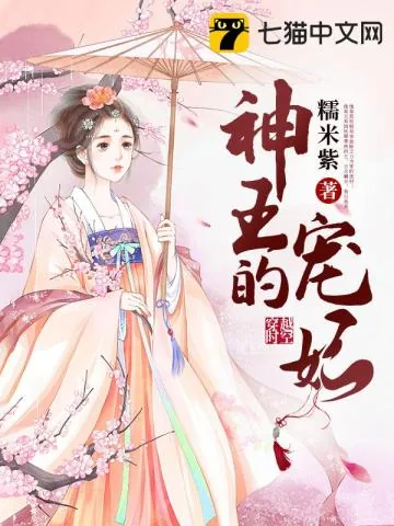 《神王的宠妃》小说封面