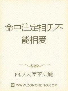 《命中注定相见不能相爱》小说封面