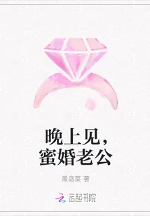 《晚上见，蜜婚老公》小说封面