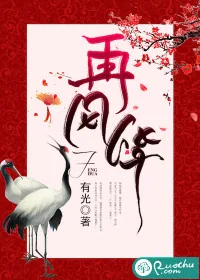 《再风华》小说封面