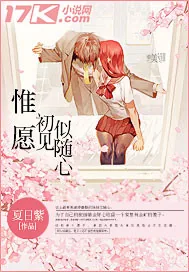 《惟愿初见似随心》小说封面