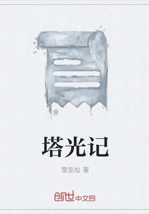 《塔光记》小说封面