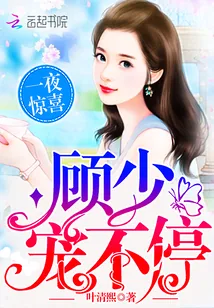 《一夜惊喜：顾少，宠不停》小说封面