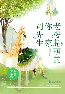 《司先生，你家老婆超萌的！》小说封面