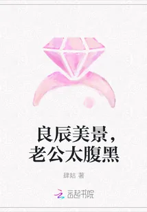 《良辰美景，老公太腹黑》小说封面