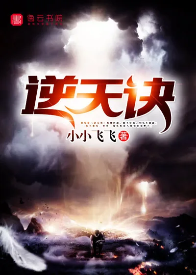 《逆天诀》小说封面