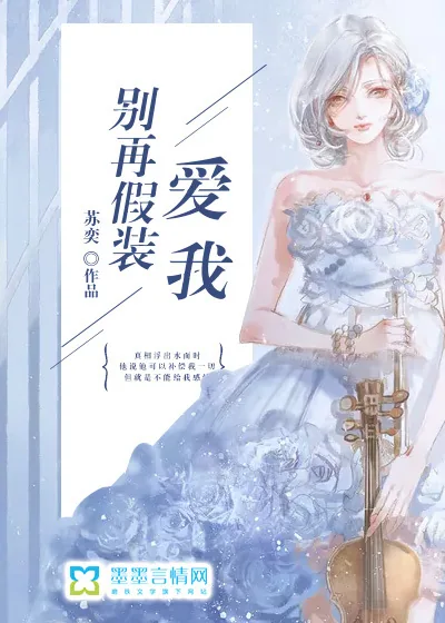 《别再假装爱我》小说封面