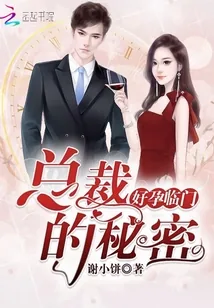 《好孕临门：总裁的秘密》小说封面