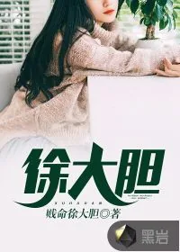 《徐大胆》小说封面