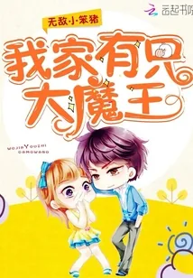 《我家有只大魔王》小说封面